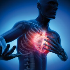 Un “abbraccio” di muscoli artificiali aiuta il cuore a battere