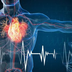 Verso un Piano Nazionale Cardio-cerebrovascolare